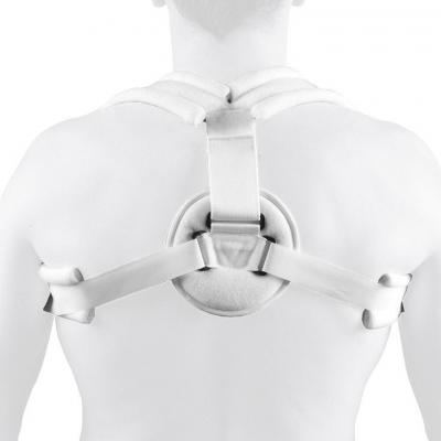 2718 epauleanneauxclaviculaires gd